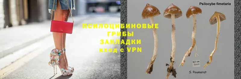 Псилоцибиновые грибы Psilocybine cubensis  mega сайт  Грязи 